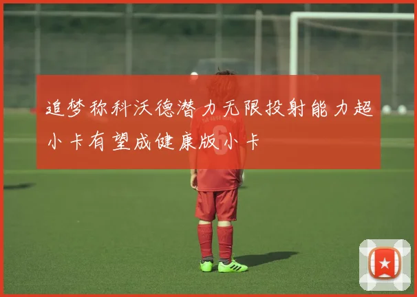 追梦称科沃德潜力无限投射能力超小卡有望成健康版小卡