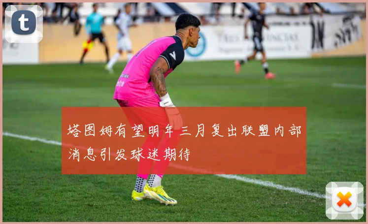 塔图姆有望明年三月复出联盟内部消息引发球迷期待