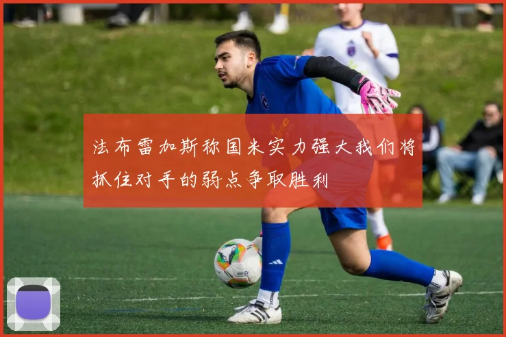 法布雷加斯称国米实力强大我们将抓住对手的弱点争取胜利