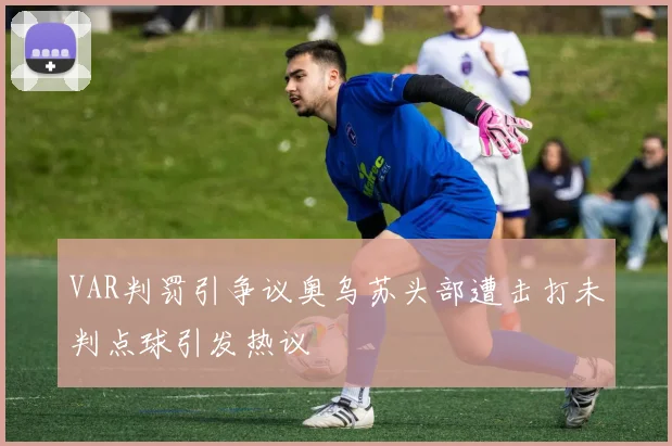 VAR判罚引争议奥乌苏头部遭击打未判点球引发热议