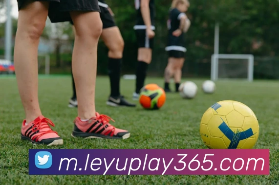 App Interface Preview