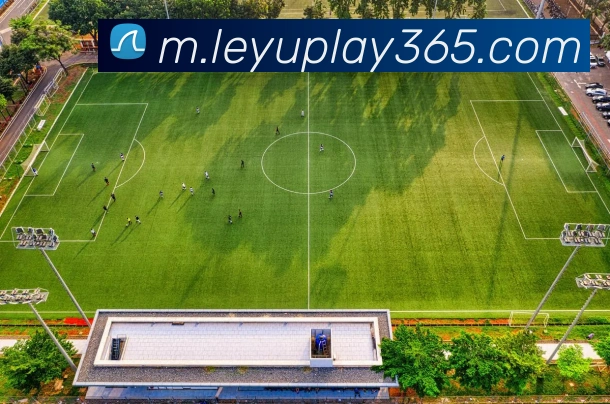 乐鱼体育APP 封面图